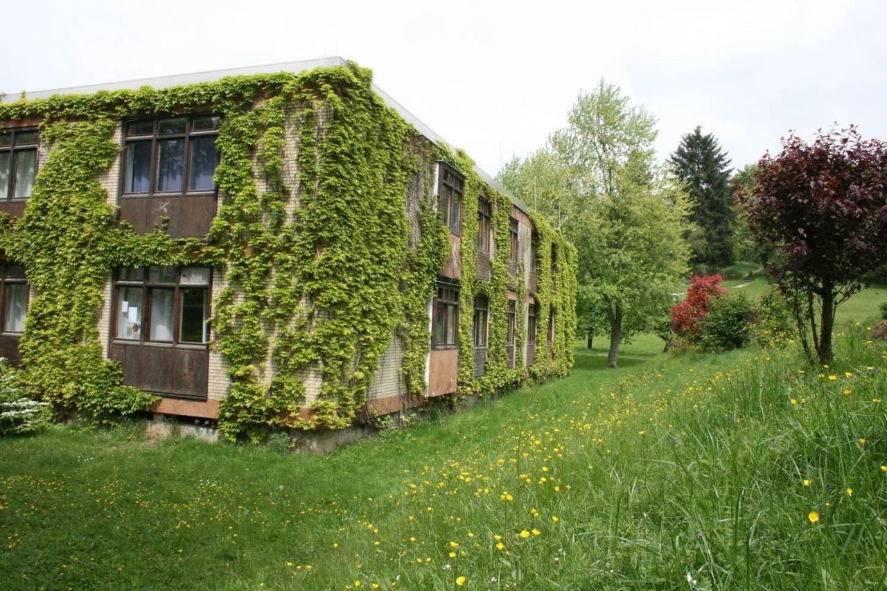 Waldblick Appartement Ober-Hambach Zewnętrze zdjęcie