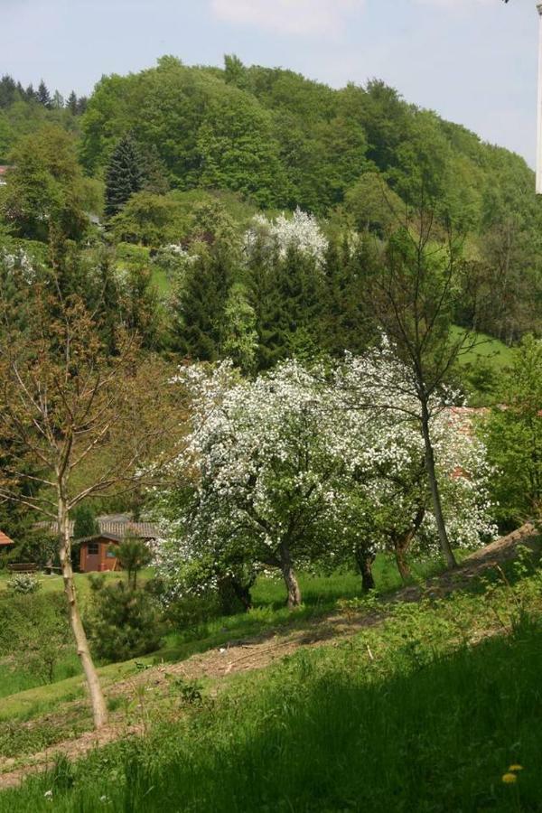 Waldblick Appartement Ober-Hambach Zewnętrze zdjęcie